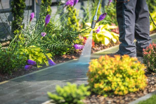 Best Patio and Deck Pressure Washing  in Colesville, MD
